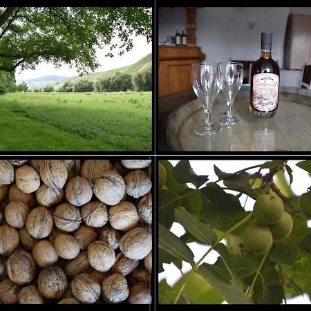 The Wine Cellar In The Old Gemeinde House Brauneberg Exteriör bild