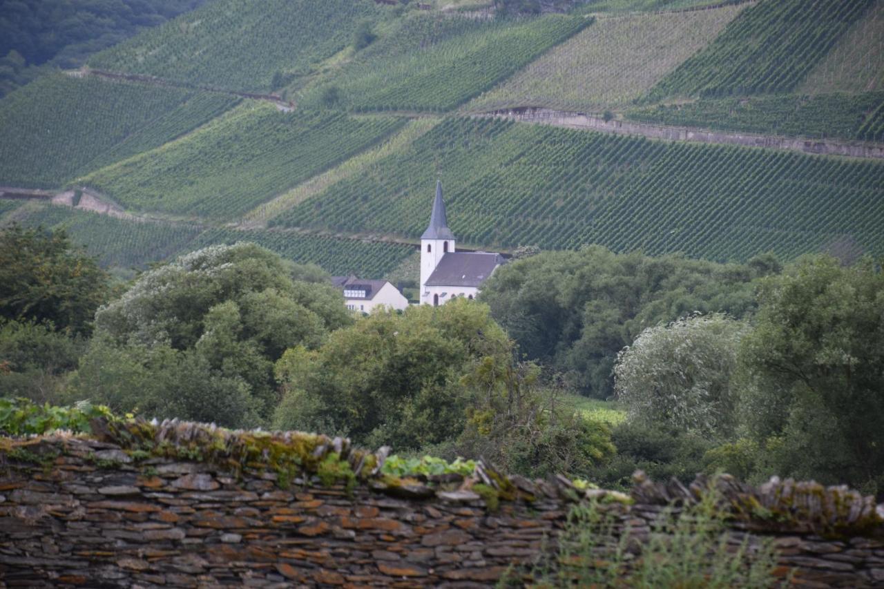 The Wine Cellar In The Old Gemeinde House Brauneberg Exteriör bild