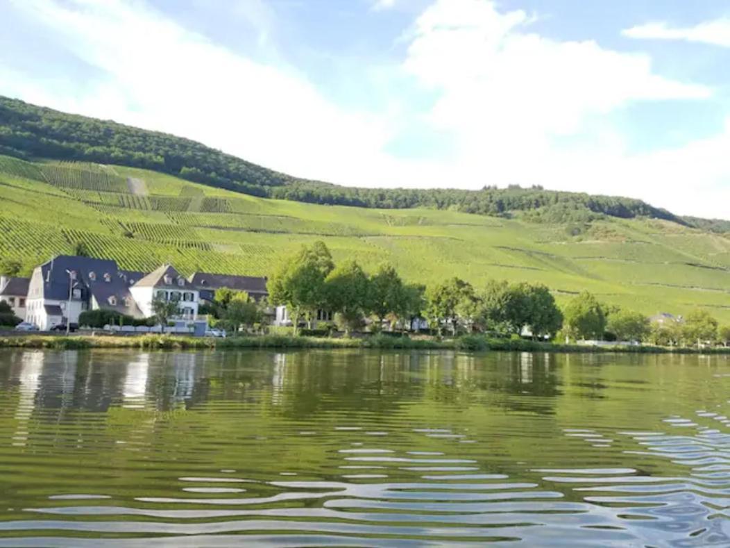 The Wine Cellar In The Old Gemeinde House Brauneberg Exteriör bild