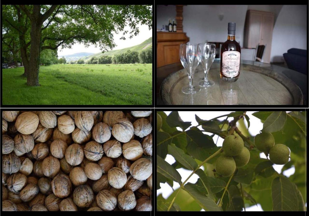 The Wine Cellar In The Old Gemeinde House Brauneberg Exteriör bild